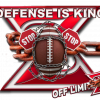 OFF LIMITZ DEFENSE IS KING TEE