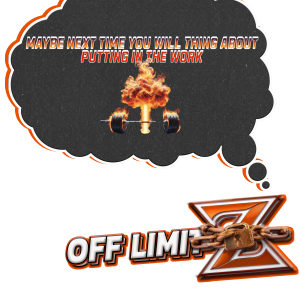 MAYBE NEXT TIME YOU WILL THINK ABOUT PUTTING IN THE WORK